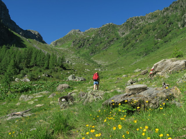 Evelyn am Weg 445 zwischen Karnischem Höhenweg und Schönjöchl