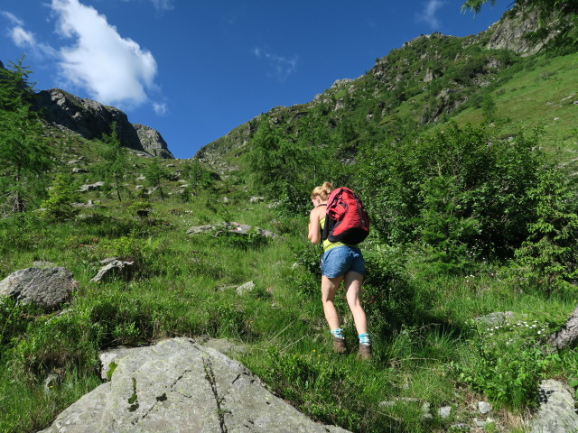 Evelyn am Weg 445 zwischen Karnischem Höhenweg und Schönjöchl