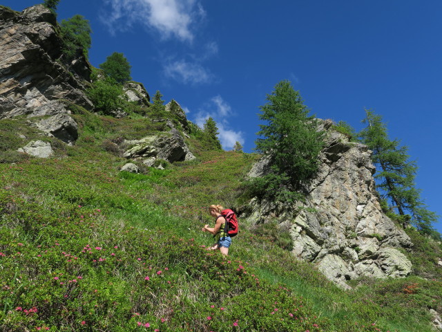 Evelyn am Weg 445 zwischen Karnischem H&ouml;henweg und Sch&ouml;nj&ouml;chl
