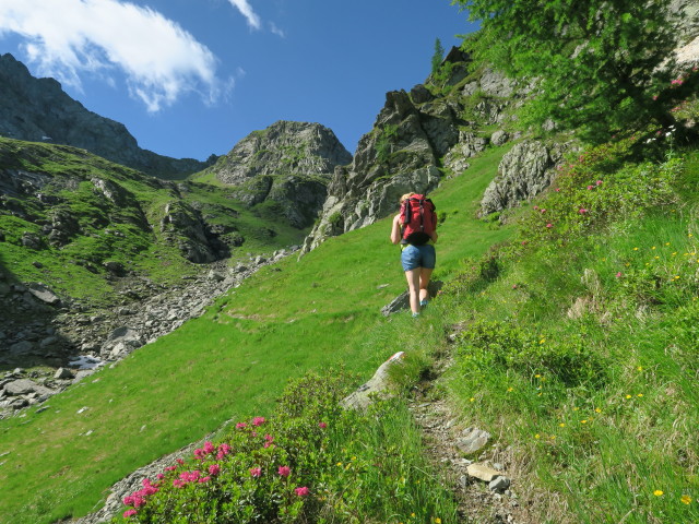 Evelyn am Weg 445 zwischen Karnischem H&ouml;henweg und Sch&ouml;nj&ouml;chl