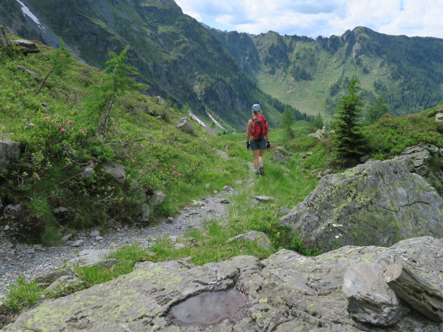 Evelyn am Karnischen Höhenweg zwischen Obergailer Joch und Knolihütte