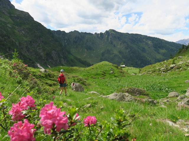 Evelyn am Karnischen H&ouml;henweg zwischen Obergailer Joch und Knolih&uuml;tte