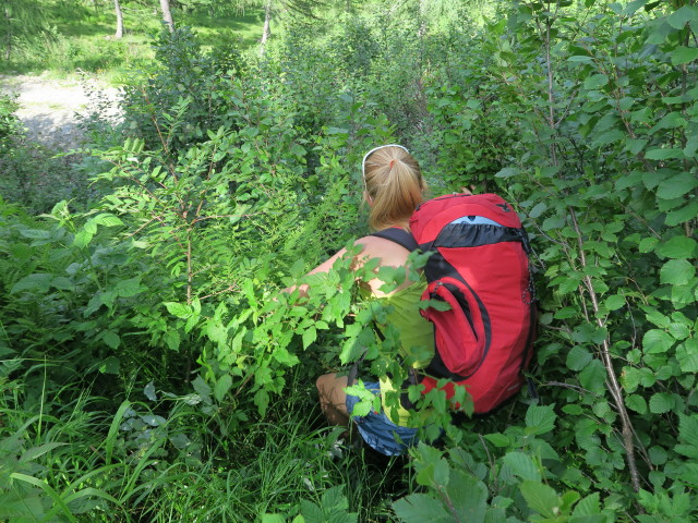 Evelyn zwischen Obergailer Alm und Enderbergh&uuml;tte