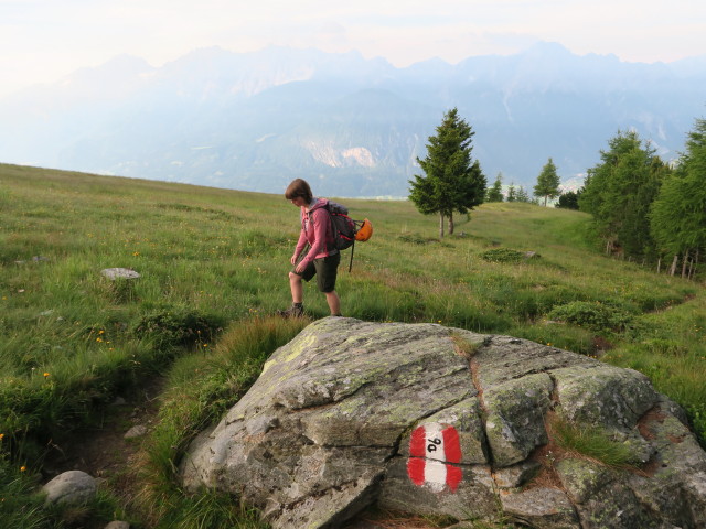 Hannelore auf Weg 9a zwischen Rottmannalm und Neualplschneid