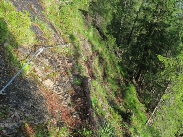 Zabratsteig zwischen Bärenkopf und Hochstadelhaus (9. Juli)