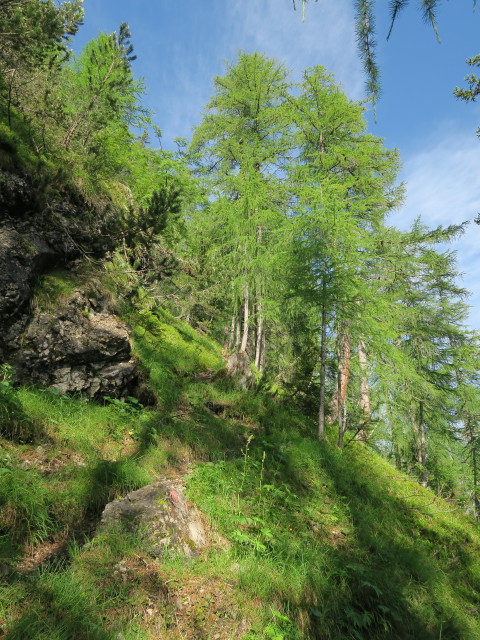 Zabratsteig zwischen B&auml;renkopf und Hochstadelhaus (9. Juli)