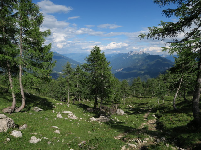 Rudnigweg zwischen Garnitzenkar und Unholdenalm (9. Juli)