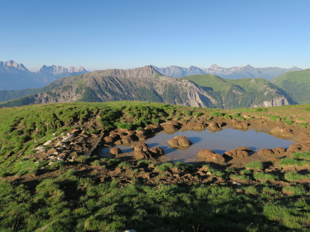 neben dem Dreit&ouml;rlweg zwischen Badst&uuml;blkar und Leitent&ouml;rl (10. Juli)