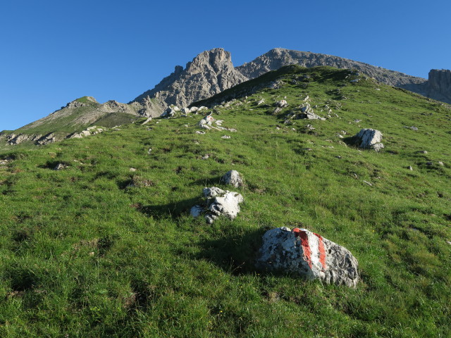 Dreit&ouml;rlweg zwischen Badst&uuml;blkar und Leitent&ouml;rl (10. Juli)