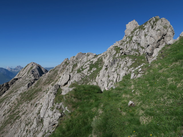 Dreit&ouml;rlweg zwischen Leitent&ouml;rl und Baumgartent&ouml;rl (10. Juli)