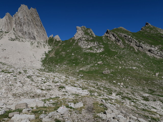 Dreit&ouml;rlweg zwischen Baumgartent&ouml;rl und Kuhleitent&ouml;rl (10. Juli)