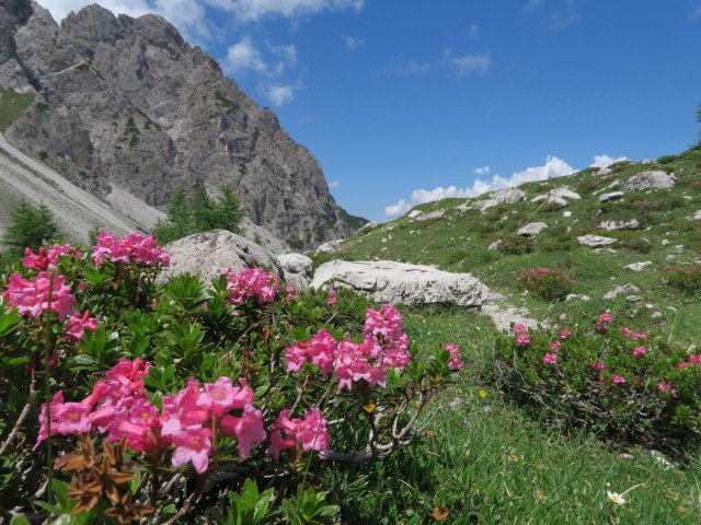 neben dem Egerl&auml;nderweg beim Marcherstein (10. Juli)