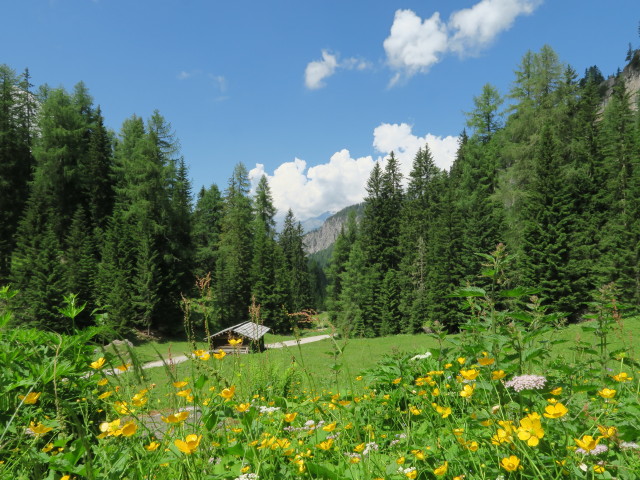 Insteinh&uuml;tte, 1.681 m (10. Juli)