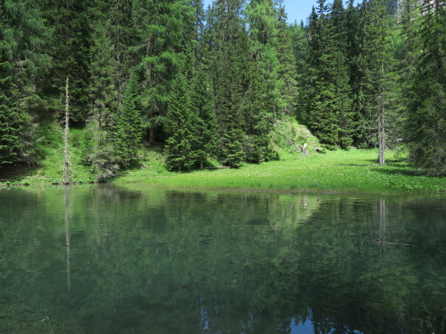 bei der Insteinh&uuml;tte (10. Juli)