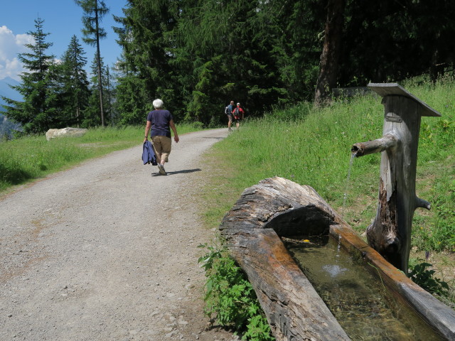 Egerl&auml;nderweg zwischen Insteinh&uuml;tte und Lienzer Dolomiten-H&uuml;tte (10. Juli)
