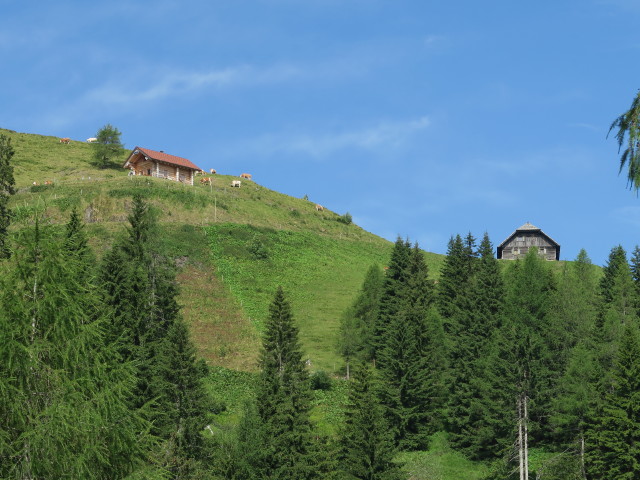 Nölblinger Alm (16. Juli)