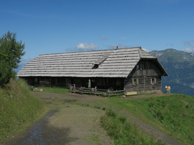 Nölblinger Alm, 1.616 m (16. Juli)