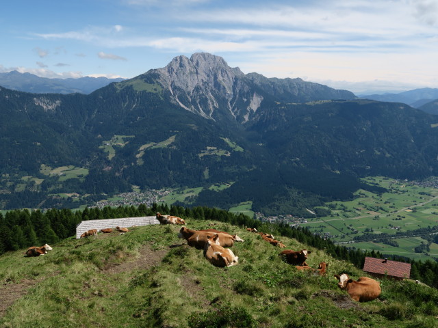 Reißkofel von der Nölblinger Alm aus (16. Juli)