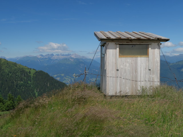 Nöblinger Höhe, 1.760 m (16. Juli)