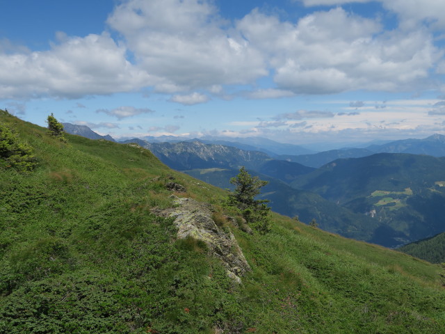 zwischen Waidegger Höhe und Waidegger Sattel (16. Juli)