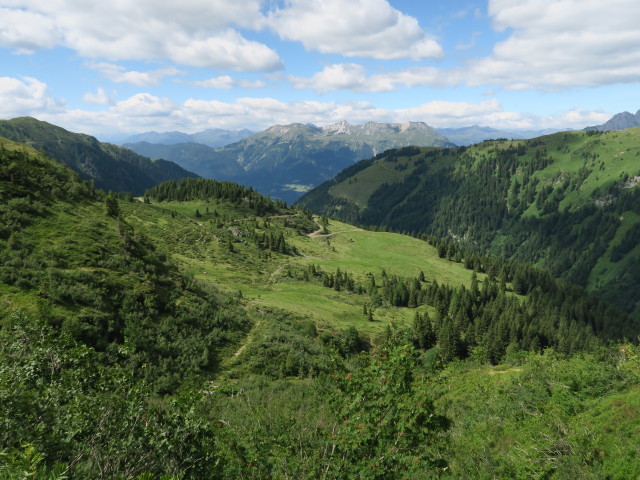 Weg 425 zwischen Lodinutpass und Hennebergweg (16. Juli)