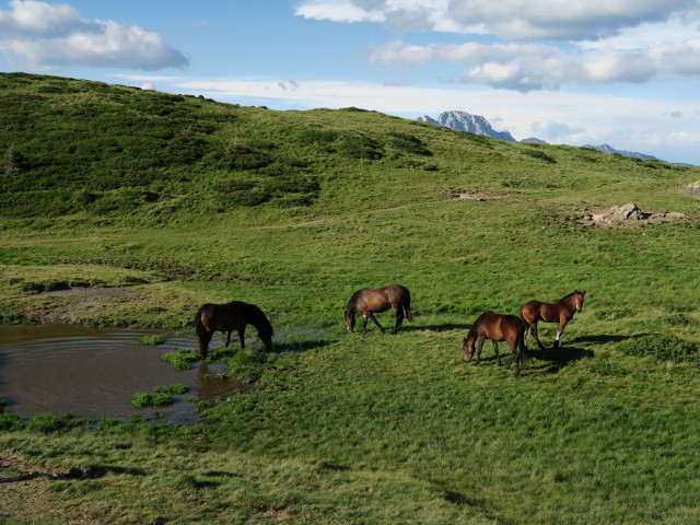 Weg 421 zwischen Kleinem Trieb und Zollnerseehütte (16. Juli)