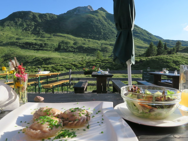 Hoher Trieb von der Zollnerseehütte aus (16. Juli)