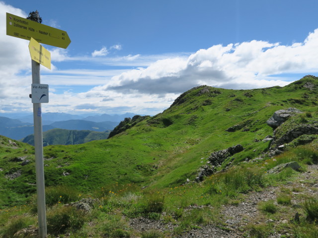 Karnischer Höhenweg beim Köderkopf (17. Juli)