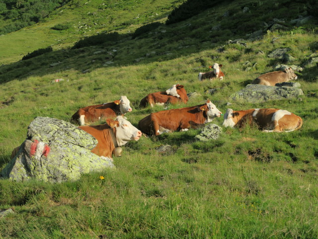 zwischen Unterem Kaltenbachsee und Mittlerem Kaltenbachsee