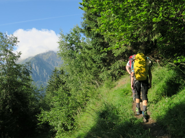 Erich und Jörg am Weg 133 im Falbesoner Wald (29. Juli)