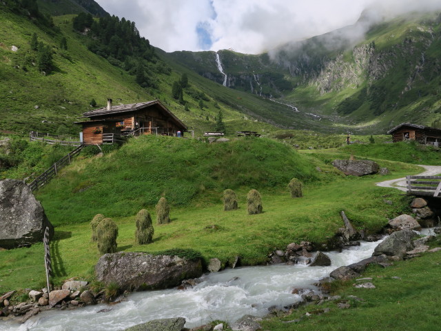 Falbesoner Ochsenalm, 1.822 m (29. Juli)