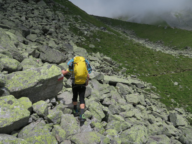 J&ouml;rg am Weg 133 auf den Schrimmen (29. Juli)