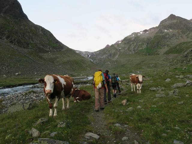 J&ouml;rg, Thorsten, Dirk und Klaus am Weg 131 zwischen H&ouml;llenrachen und Berglastal (30. Juli)