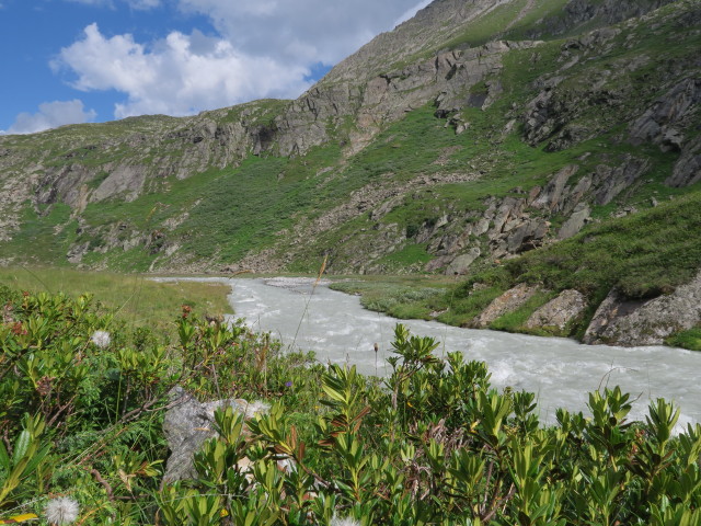 Alpeiner Bach zwischen H&ouml;llenrachen und Franz-Senn-H&uuml;tte (30. Juli)