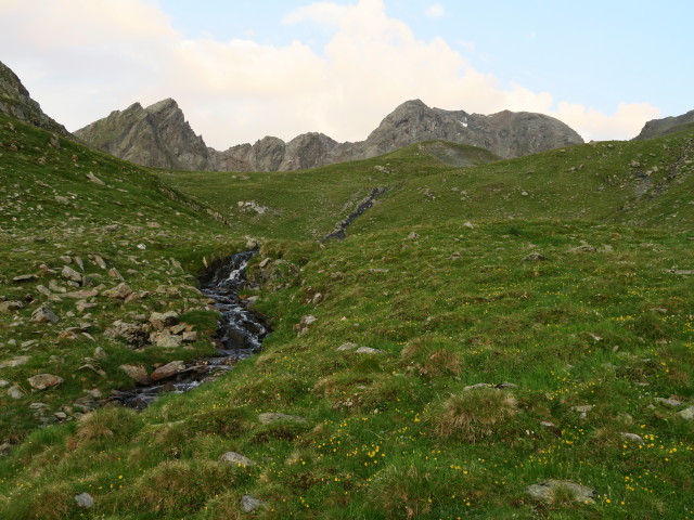 Mauernleger (31. Juli)