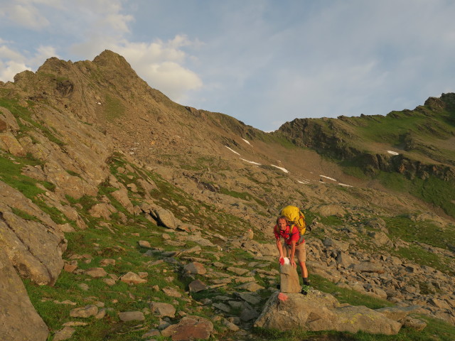 Jörg am Weg 132 zwischen Mauernleger und Großem Horntaler Joch (31. Juli)