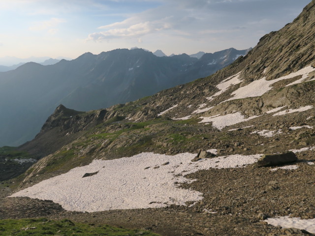 neben Weg 132 zwischen Mauernleger und Gro&szlig;em Horntaler Joch (31. Juli)