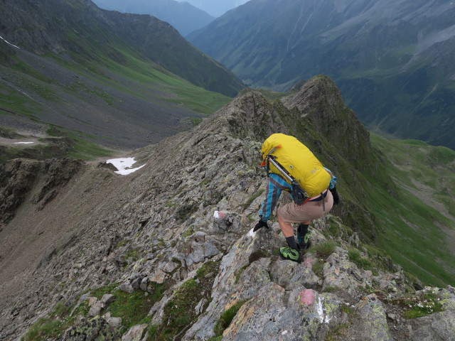 Jörg zwischen Schafgrübler und Großem Horntaler Joch (31. Juli)