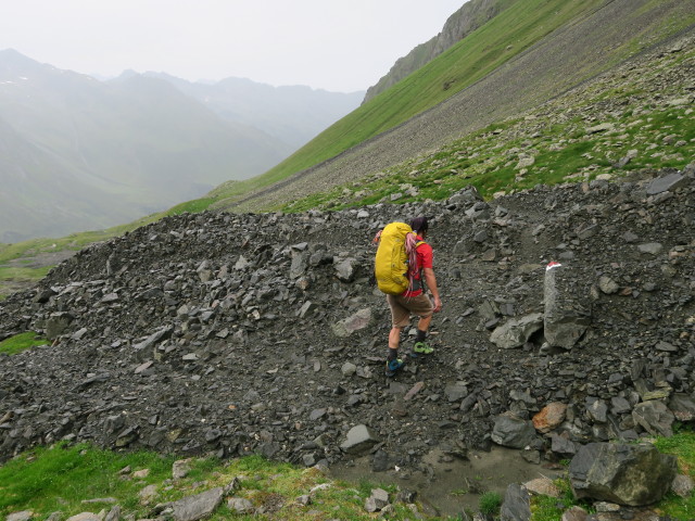 Jörg am Weg 132 im Großen Horntal (31. Juli)