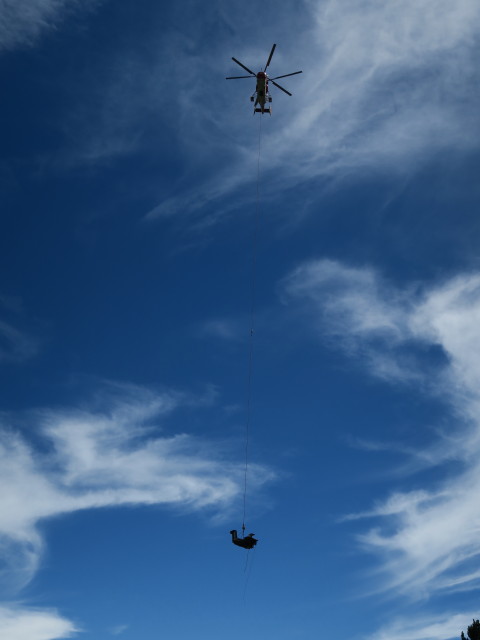 Innermartell (6. Aug.)