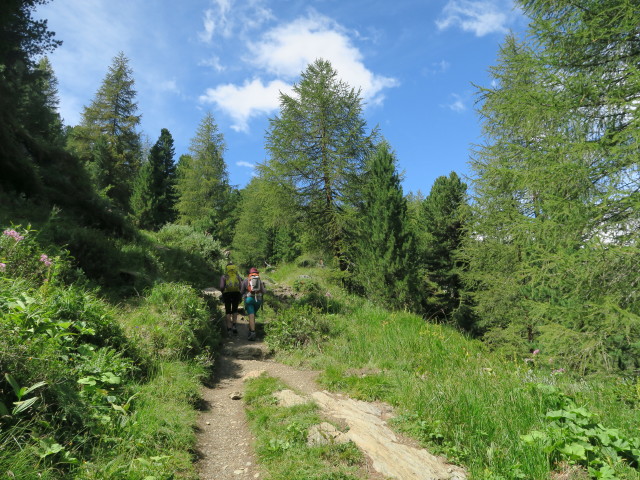 Weg 37 zwischen ehemaligem Hotel Paradiso und Sch&ouml;nbichl (6. Aug.)