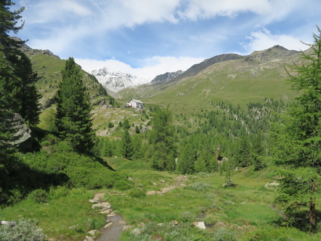 Weg 37 zwischen ehemaligem Hotel Paradiso und Sch&ouml;nbichl (6. Aug.)