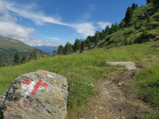 Weg 31 zwischen ehemaligem Hotel Paradiso und Sch&ouml;nbichl (6. Aug.)