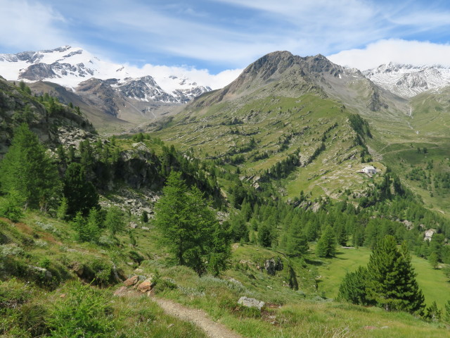 Weg 31 zwischen ehemaligem Hotel Paradiso und Sch&ouml;nbichl (6. Aug.)