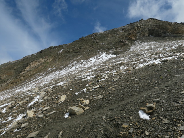 Weg 31 zwischen Sch&ouml;nbichl und Vorderem Rotspitz (6. Aug.)