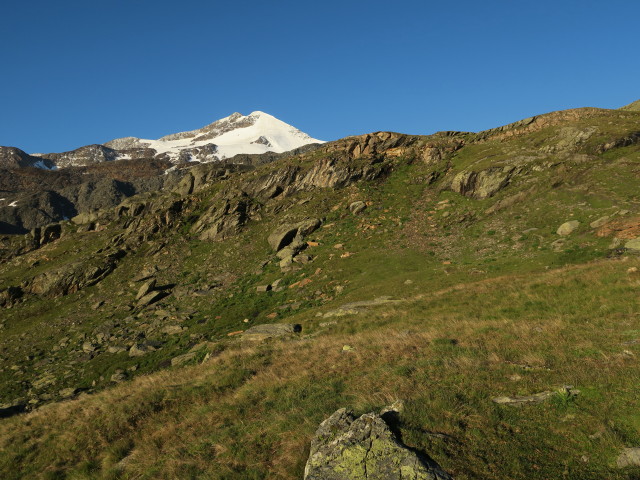 Zufallspitze (7. Aug.)