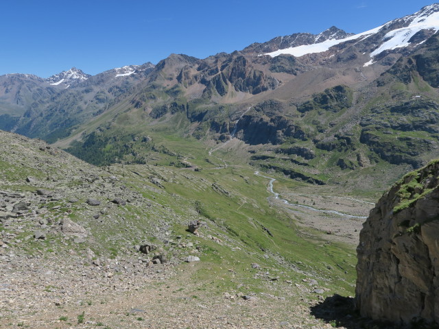 zwischen Butzental und Weg 150 (7. Aug.)