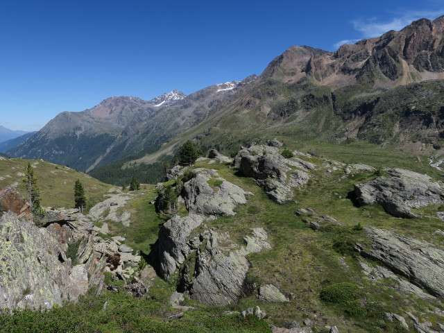 zwischen Butzental und Weg 150 (7. Aug.)