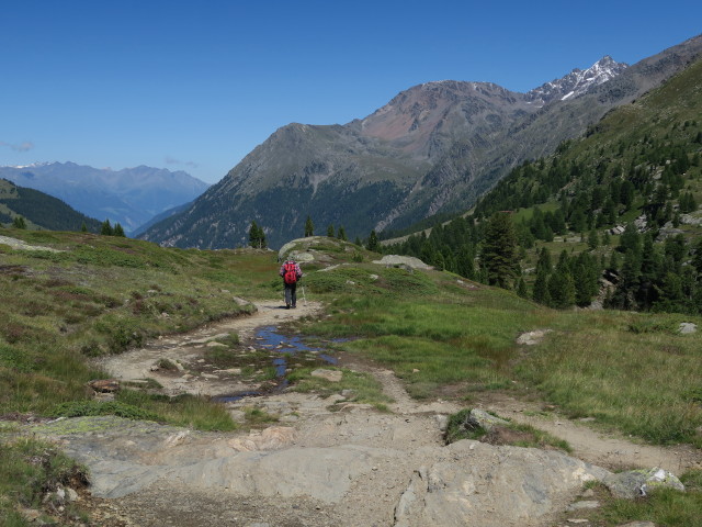 Weg 150 zwischen In der Kachel und Zufallhütte (7. Aug.)