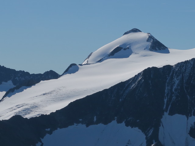 Wilder Pfaff vom Hinteren Daunkopf aus (14. Aug.)